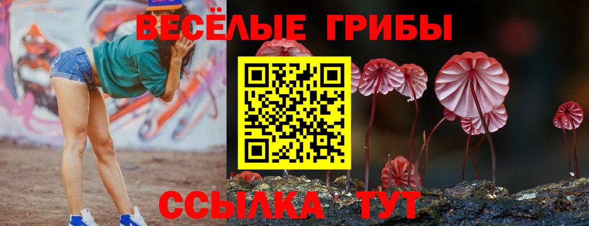 Галлюциногенные грибы мухоморы Тула